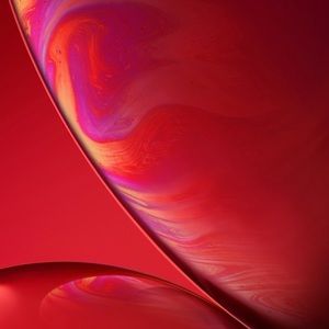 Meet your Posher, Marleny